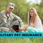 Military Pet Insurance Protecting Your Furry Family Members During Service