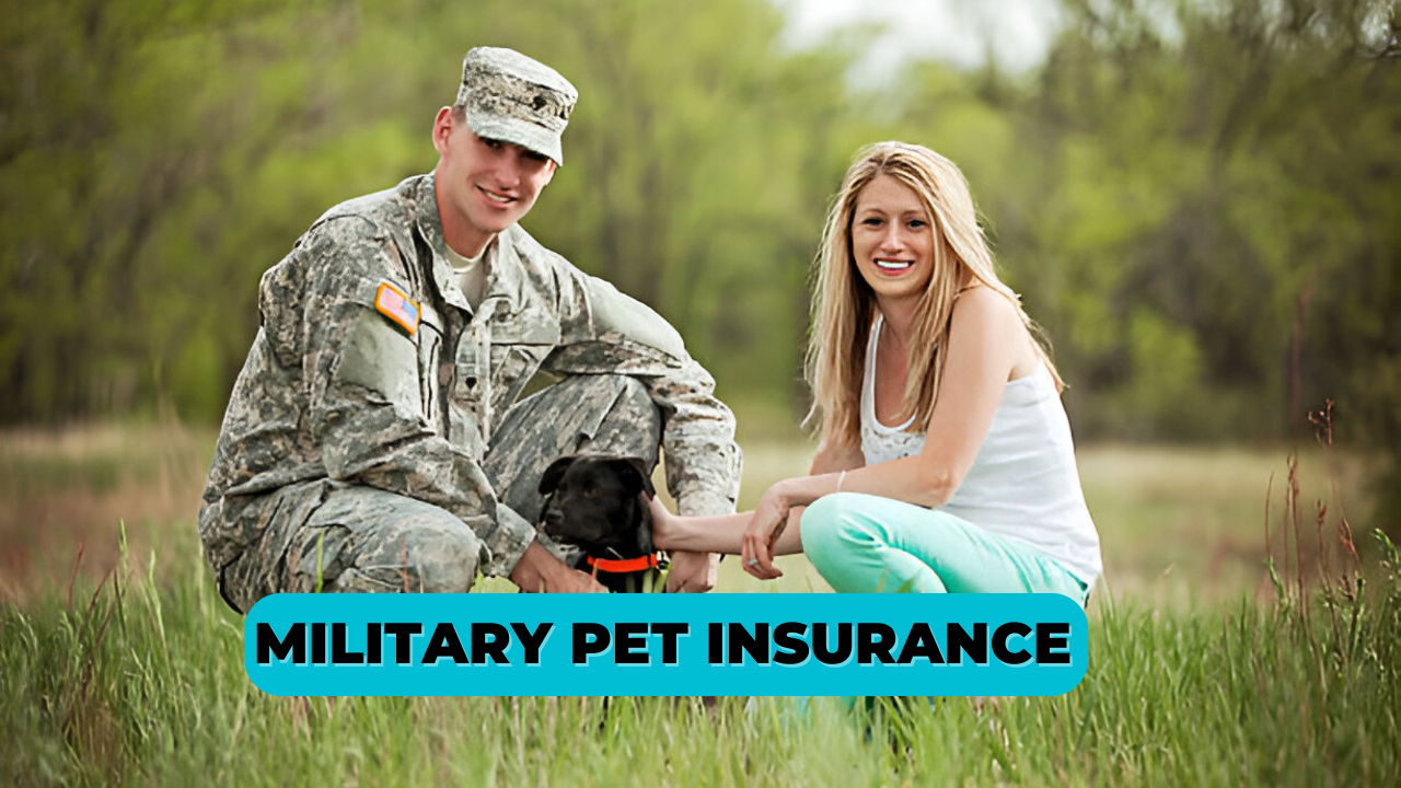 Military Pet Insurance Protecting Your Furry Family Members During Service